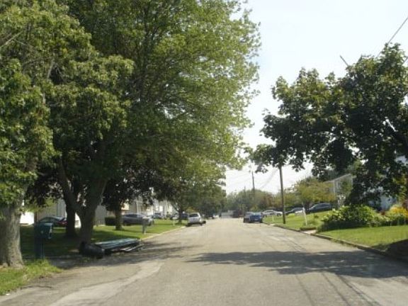 5th image of 10 Lark Dr