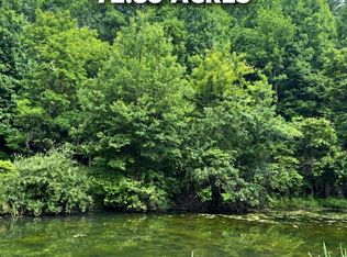 9893 W Webster Rd, Summersville, WV 26651