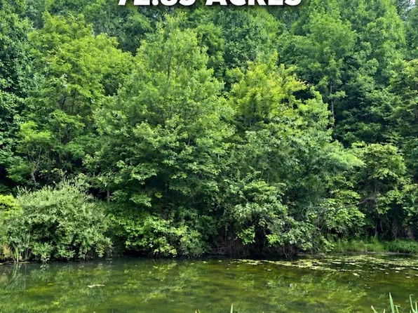 9893 W Webster Rd, Summersville, WV 26651