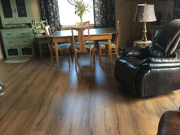 Living room/dining room area