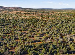 8602 N Ten Tanks Rd #157, Williams, AZ 86046