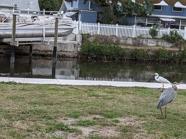 backyard canal