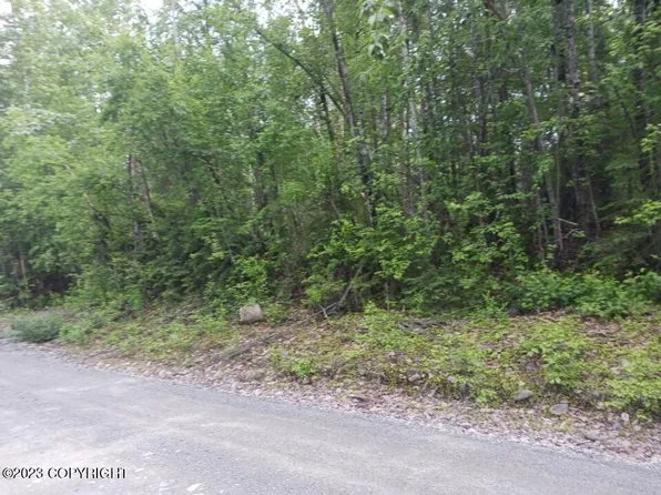 19962 E Tackle Ave, Talkeetna, AK 99676