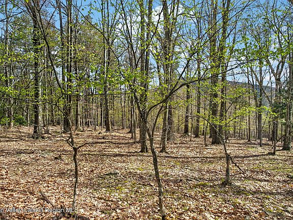 4th image of 0 Camp Schoharie Road