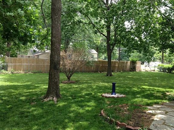 Back yard