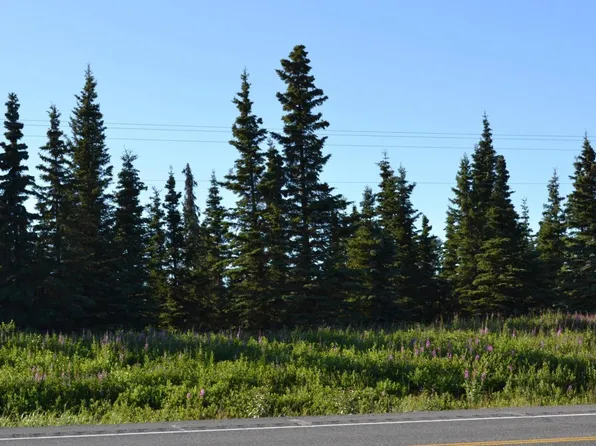 56243 Resolution Rd, Clam Gulch, AK 99568