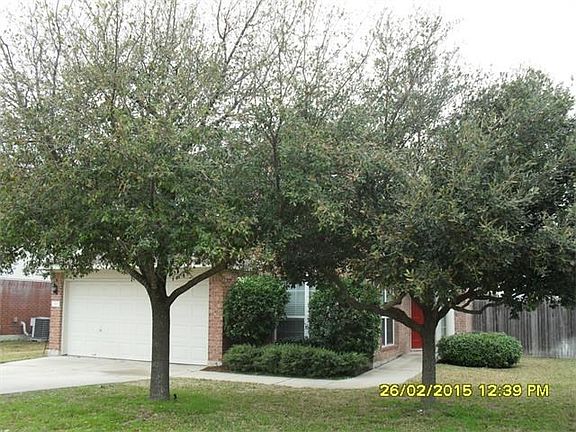 Nice trees in front yard.
