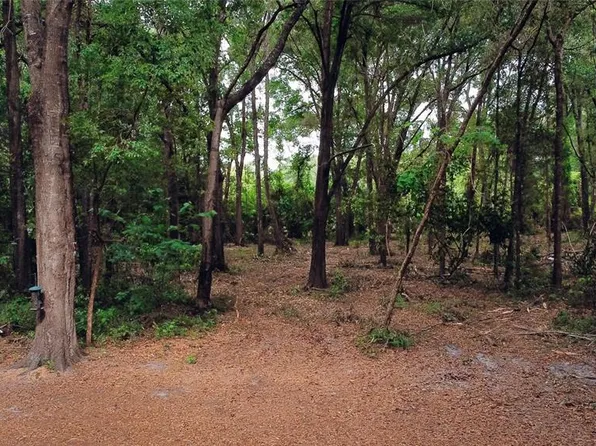 NW 182nd Pl Lot 1, High Springs, FL 32643