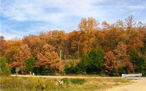 2nd image of Black Oak Rd