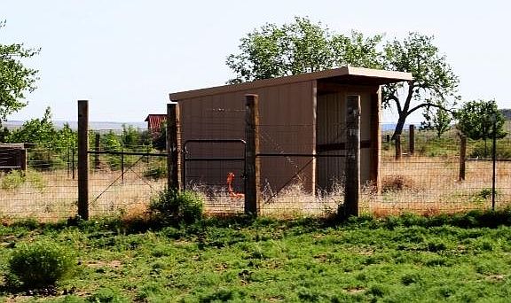 4th image of 49 95 Acres Located Se Of City