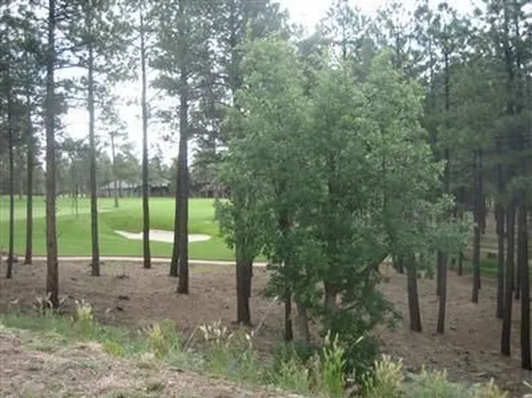 4885 W Braided Rein, Flagstaff, AZ 86005