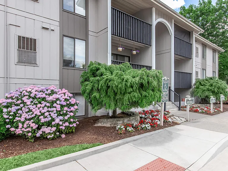 Honeywood Apartments — Photo 18