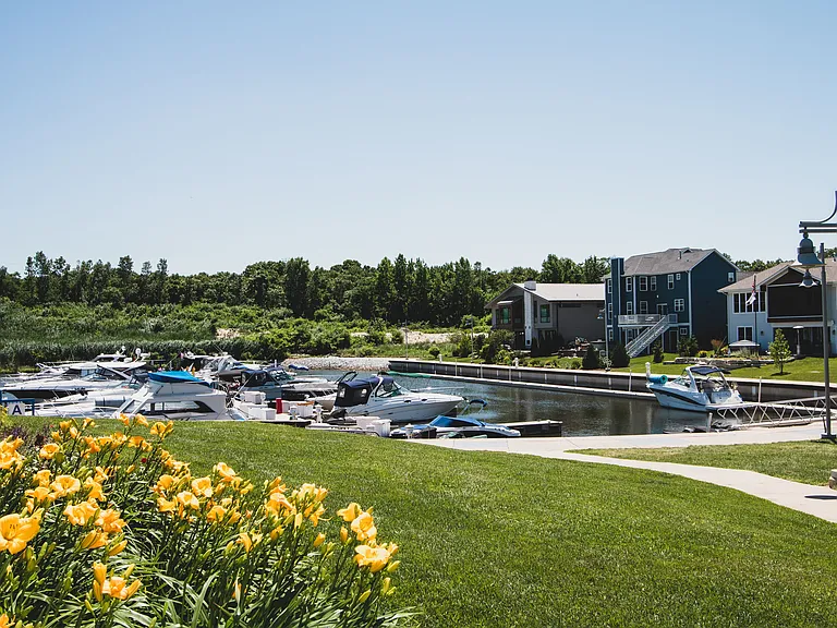 The Marina