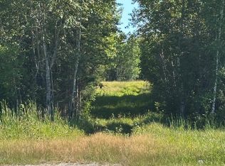 Esh Acreage Hwy #53, Kabetogama, MN 56669