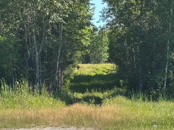 Esh Acreage Hwy #53, Kabetogama, MN 56669
