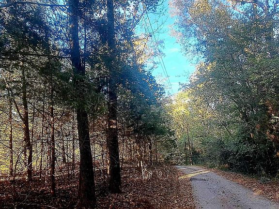 4th image of 10774 County Road 494