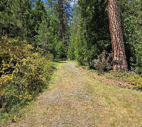 4th image of 4801 Blue Mountain Rd