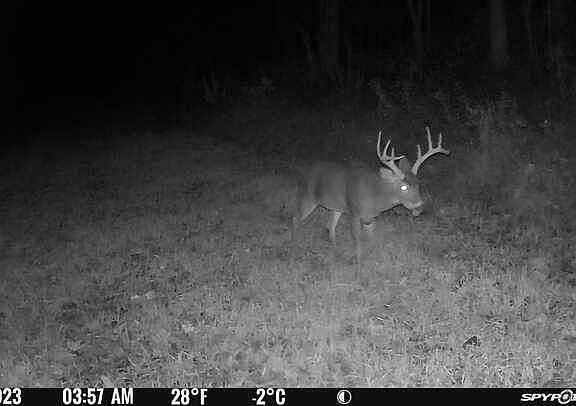 5th image of 0 Holley Ln