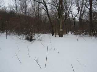 4250 Lake Chapin Rd, Berrien Springs, MI 49103
