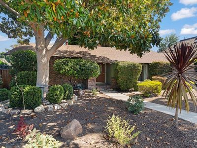 1829 Cabana Dr, San Jose, CA, 95125