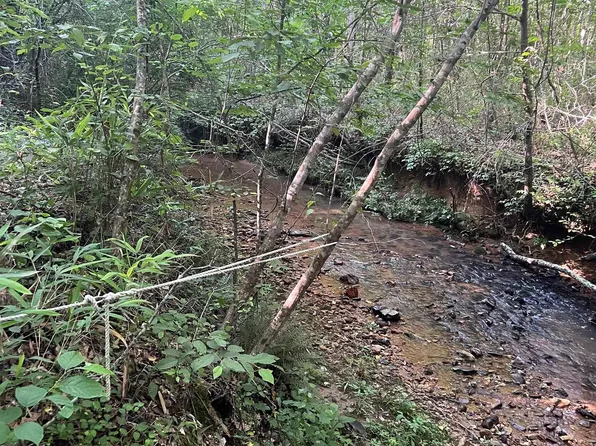 0 County Road 639 #1, Roanoke, AL 36274