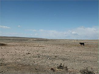 2nd image of 52583 County Road 107