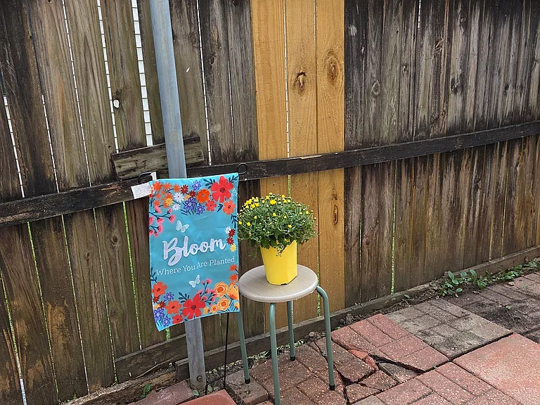 100 Teal Ln #57 — Photo 9