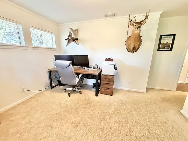 490 Strathy Hall Dr — Photo 18