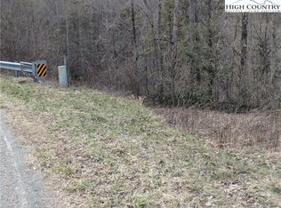 Tbd Rominger Rd, Banner Elk, NC 28604