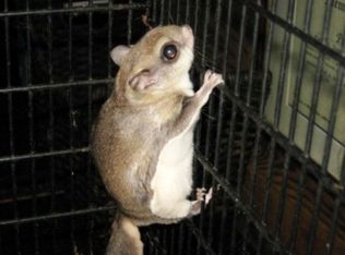 320 Lee Road 23, Auburn, AL 36832