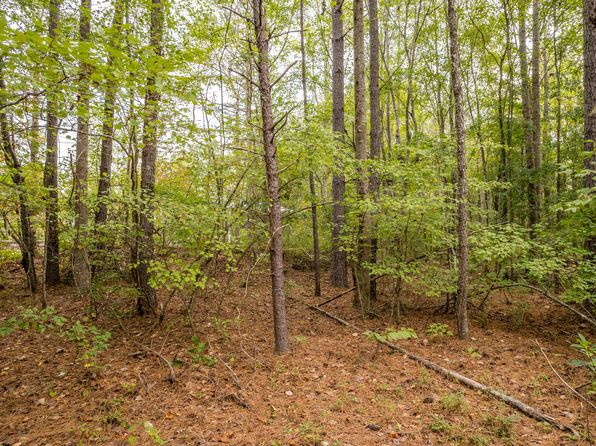 0 Maggie Ln, Double Springs, AL 35553