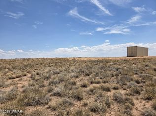 90/91 Sun Country Ranch Valley #6, Sun Valley, AZ 86029