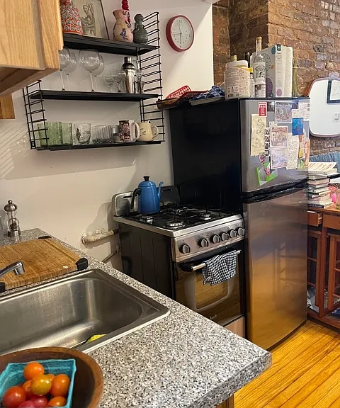 203 Chrystie St #2D — Photo 4