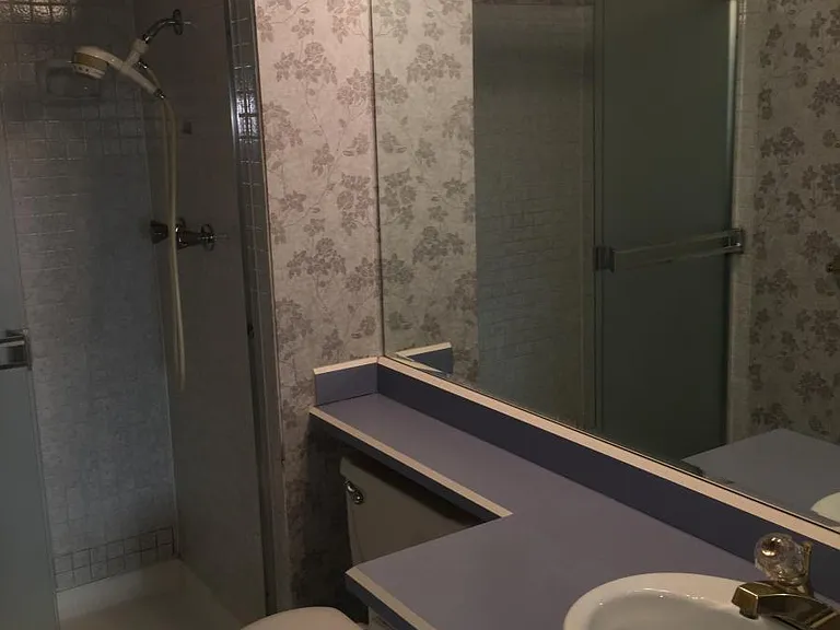 Master Bath & Shower