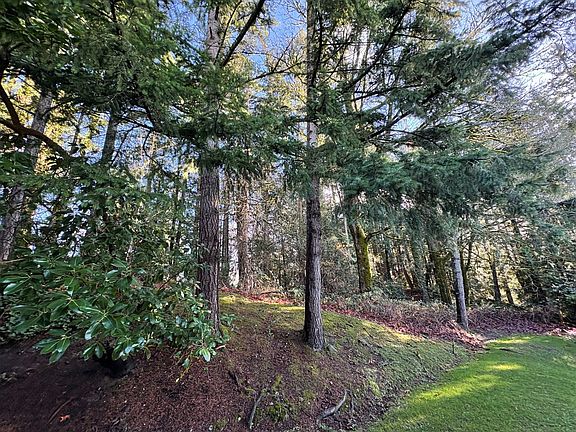 4th image of 2536 175th Ave NE
