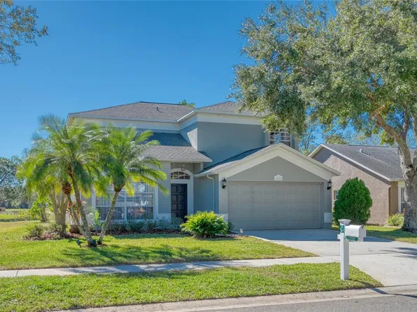 12818 Royal George Ave, Odessa, FL 33556