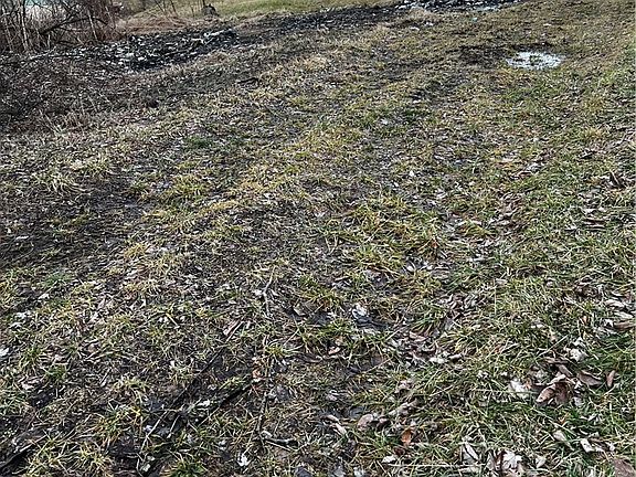 4th image of 343 Vanderbilt Rd