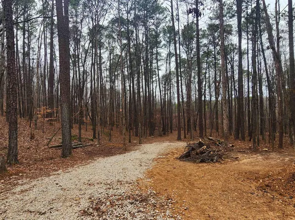 9001 Bluff Ridge Rd #0, Bessemer, AL 35022