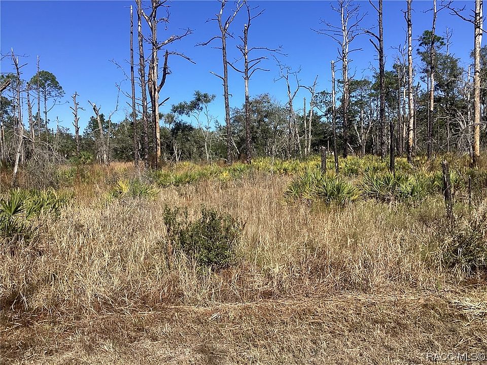1st image of 11863 W Cockscomb Dr