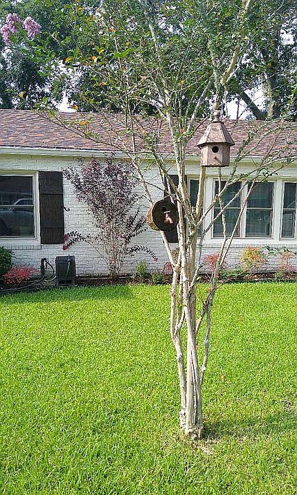 Updates done in 2020