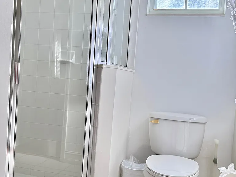 Step in Shower