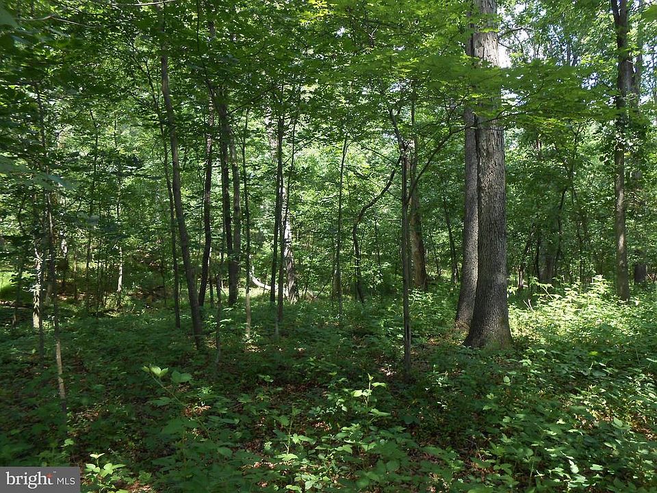 6.09 Acres of Wooded Privacy