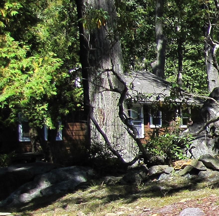 100 Florence Ave APT 3A, Denville, NJ 07834 Zillow