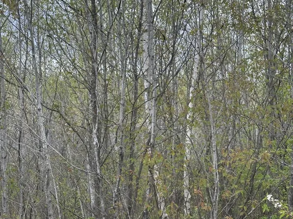 Long Shot Ln #4093-B, Minocqua, WI 54548