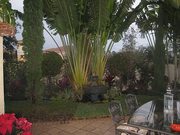 Lush, private back yard.