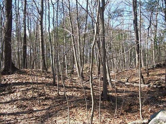 2nd image of 546 Pool Rd