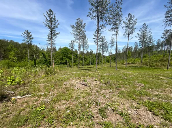 526 Prigmore Ridge Rd, Decatur, TN 37322