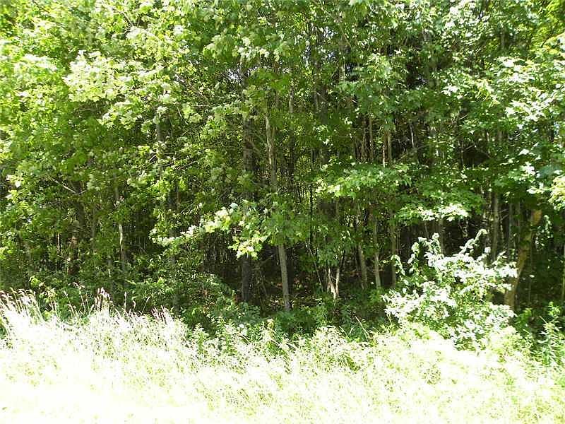 2nd image of 267-268 Old Webster Road