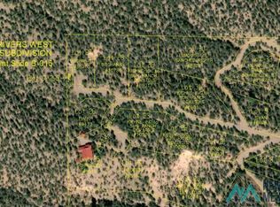 27 & 28 W Rivers Rd, Reserve, NM 87830