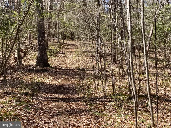 Indian Trace Trl, Locust Grove, VA 22508